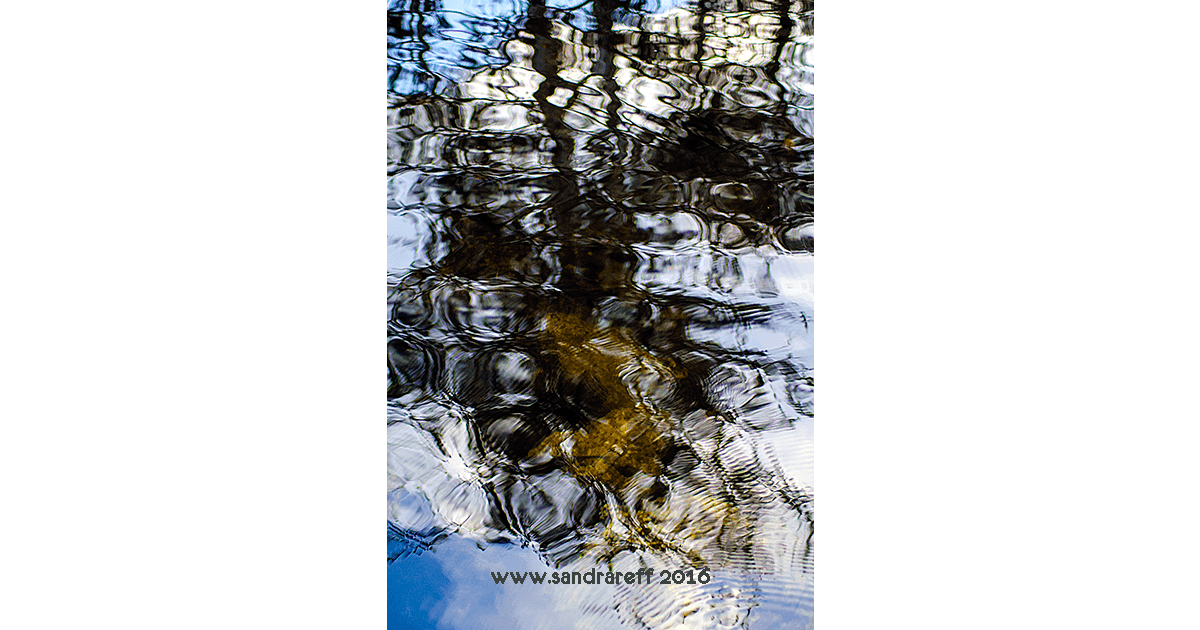 Glicee print reflections in the water