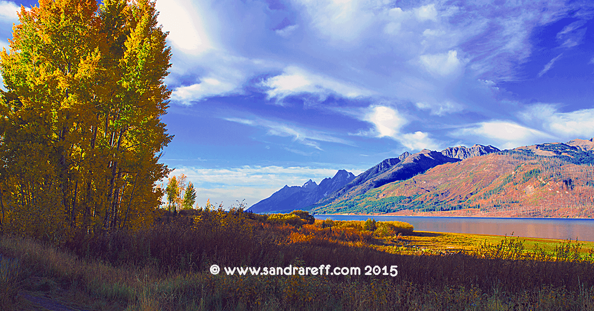 Gliclee print of fall color in the Tetons