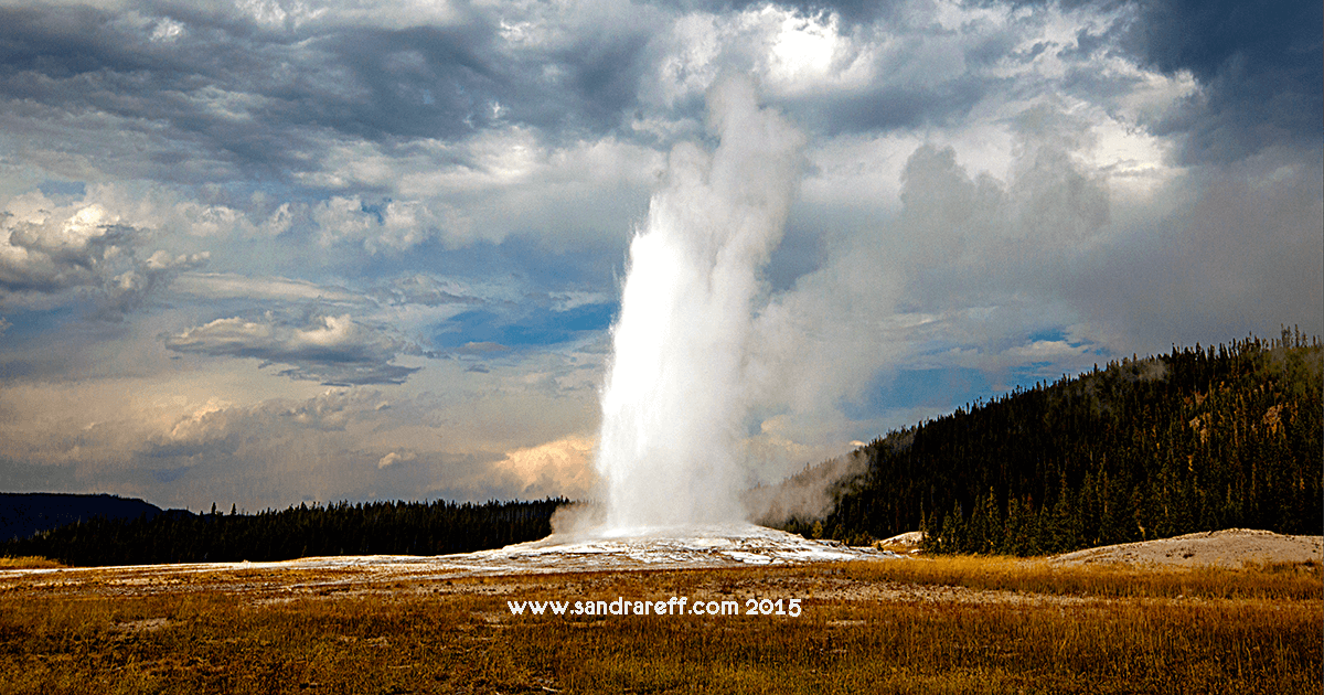 Gliclee print of Old Faithful geyser